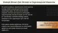 Strateji ve Dönüşüm Lideri