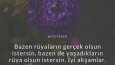 Özgün ve Etkileyici Sosyal Medya Görselleri Tasarlıyorum