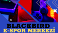 Yaptığım Sosyal Medya Tasarımları
