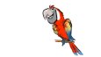 logo ve maskot çalışmalarım