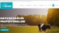 BEN AKLINIZDAKİ WEB SİTESİNİ YAPARIM