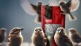 sosyal medya post tasarımları