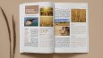 Recolte Dergisi Mizanpaj ve Kapak Tasarım