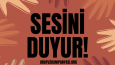 Arayüz Kampanyası İçerik Üretimi 