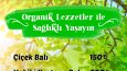 Broşür - Afiş Tasarımı