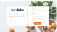 Eksiksiz WordPress Site: Elementor, SEO, Mobil Uyumlu