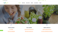 Profesyonel Web Site Hizmetlerim