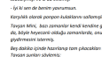 ÖZGÜN MASALLAR, ŞİİR, DENEME, YAZI