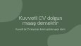 Etkili CV Yazımı
