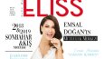 Broşür ve katalog tasarımı