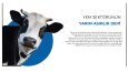 Abalım Tarım Arayüz Tasarımı
