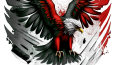 EAGLES TÜRKİYE SRIMS ORGANİZASYONU