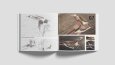 My Portfolio