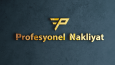Nakliye sektöri için logo çalışması