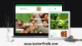 En Profesyonel Websitesi Tasarımları ile Karşınızdayız