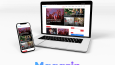 İhtiyacınız Olan Wordpress Sitesi