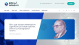 wordpress tasarımlarım