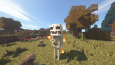 Minecraft Pro & Standart Paket