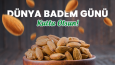 Sosyal Medya Tasarımları