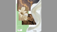 Moodboard ve Conceptboard Tasarımı