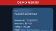 Kripto ödeme takip Telegram botu (müşteri projesi, demo veri