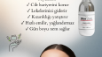 Silver Zenn Katalog