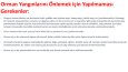 ORMAN YANGINI SUNUM
