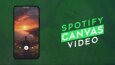 SPOTIFY CANVAS