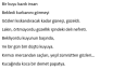 Şiirler, kısa hikayeler