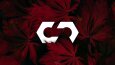 Candemir Teknik - Logo Tasarımı