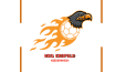 Eagle Sports Team