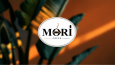 Konsept Logo Tasarımı