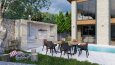 H & O Evi Tasarımı / Modelleme - Görselleştirme