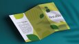 Katalog, Broşür Ve Dosya Tasarımlarım
