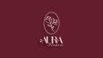 AURA FLOWERS LOGO TASARIMI