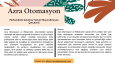 SEO Uyumlu Çalışmalarım