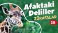 Youtube Küçük Resim Tasarımı