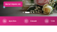 Web Sitesi ve Web Uygulamaları, Pazar yerleri