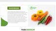MAS Organic Sitesi Yapımı