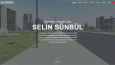 Web Site