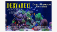 Şık, zarif, işinize ve firmanıza uygun kartvizit tasarımı