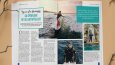 Kadın Dergisi, Film afişleri, festival afişi