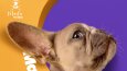 Marla Pet Shop Sosyal Medya Tasarımı