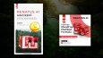 Post & Story Tasarımları