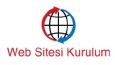Profesyonel Web Sitesi Kurulumları