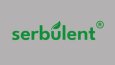 Profesyonel Özgün Logo Tasarımları