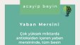 Sosyal medya görsellerinizi hazırlarım