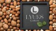 LYUKS ÇEREZ için hazırladığımız logo