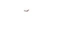 NFT aksesuarları