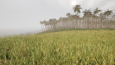 Unreal Engine ile Doğa ve Çevre Tasarımı 